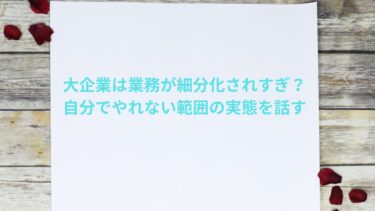 大企業は業務が細分化されすぎ？自分でやれない範囲の実態を話す